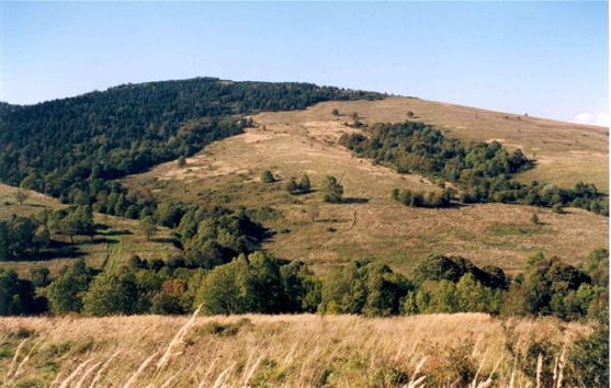 Image - Mount Tokarnia (778 m) in the Low Beskyd.